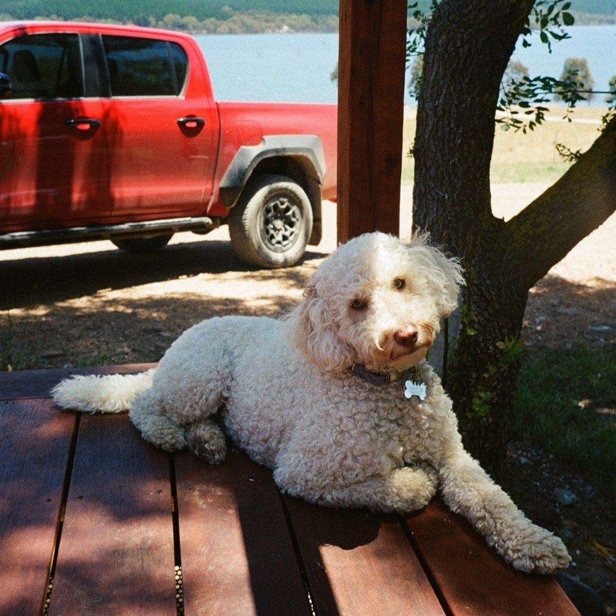 Olympus MJU II 35mm Point-and-Shoot Film Camera