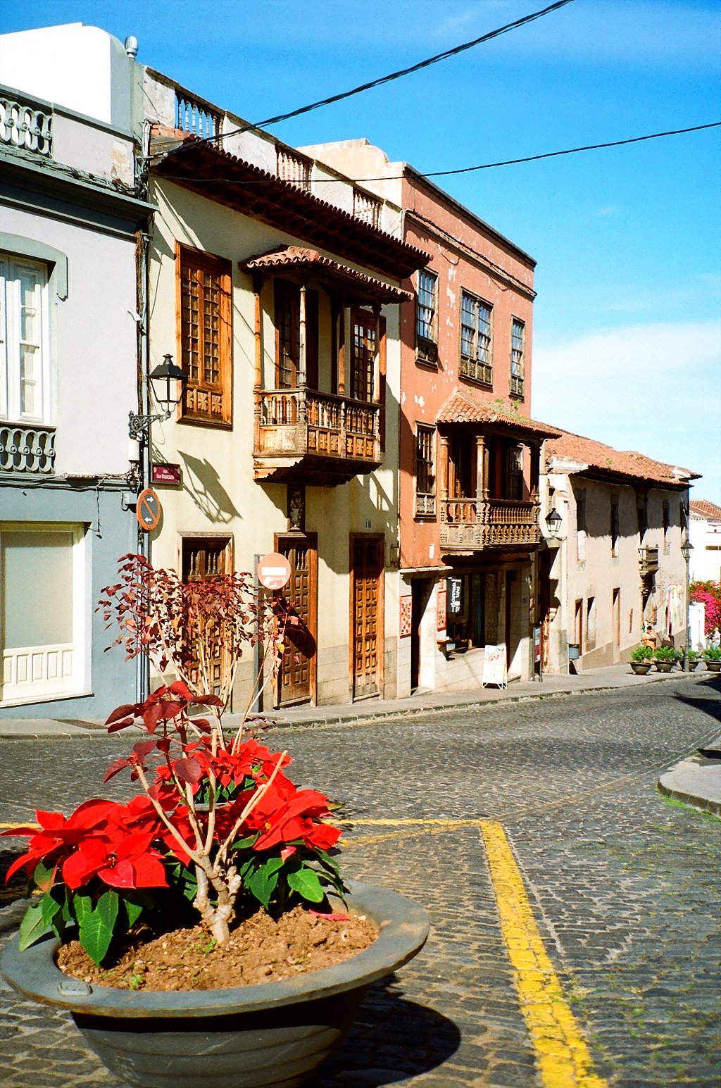 Sample photo taken with the Canon Prima Super 130 Caption 35mm film camera.