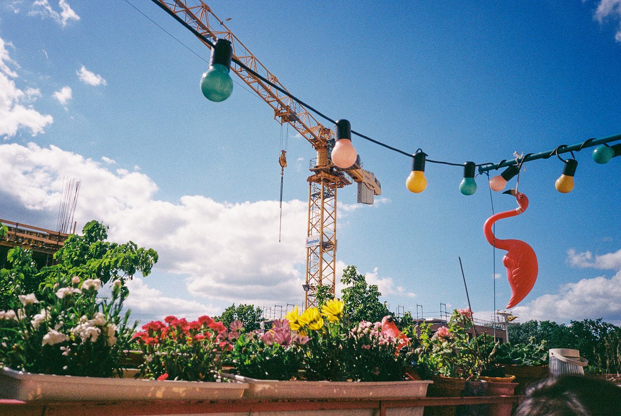 Sample photo taken with the Fujifilm Tiara II 35mm film camera.
