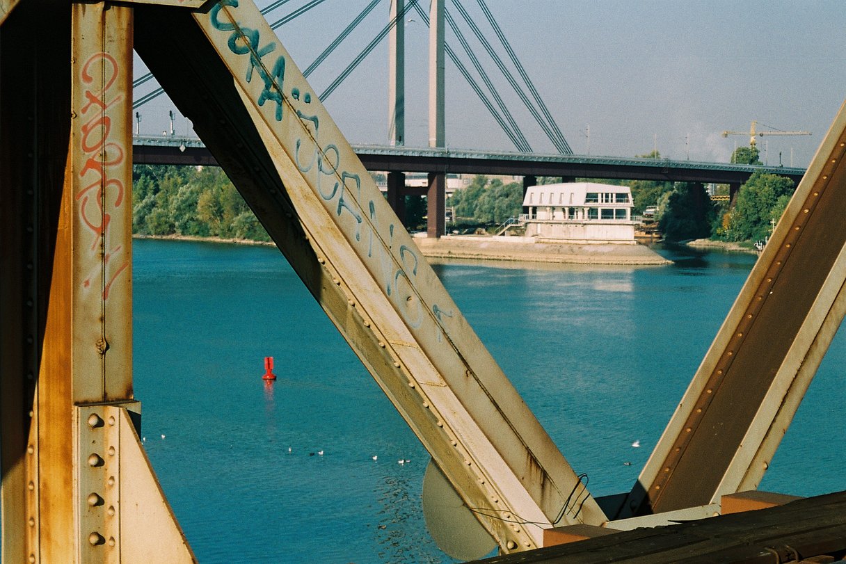 Sample photo taken with the Yashica Zoomate 80 35mm film camera.